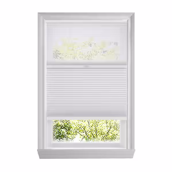 40" Cordless Cellular Shades