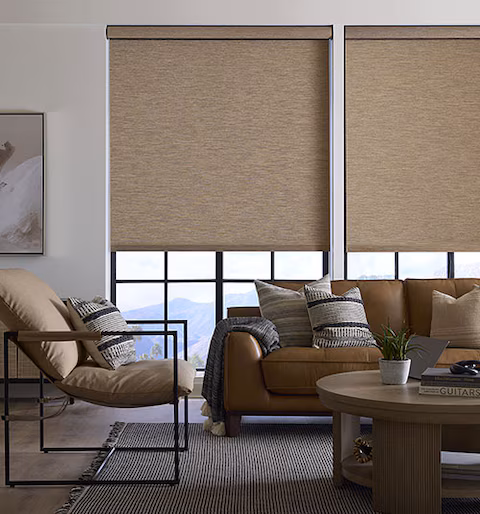 Cordless Roller Shades